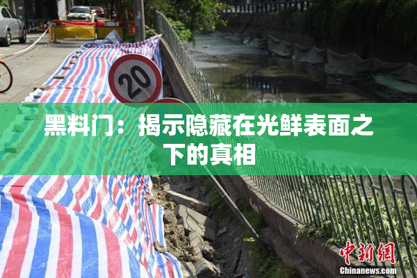 黑料门：揭示隐藏在光鲜表面之下的真相