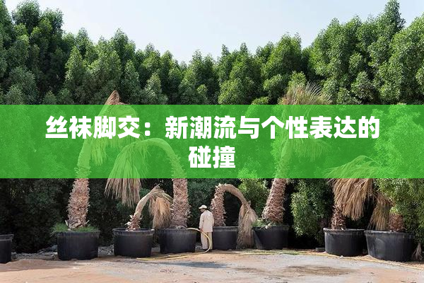 丝袜脚交：新潮流与个性表达的碰撞