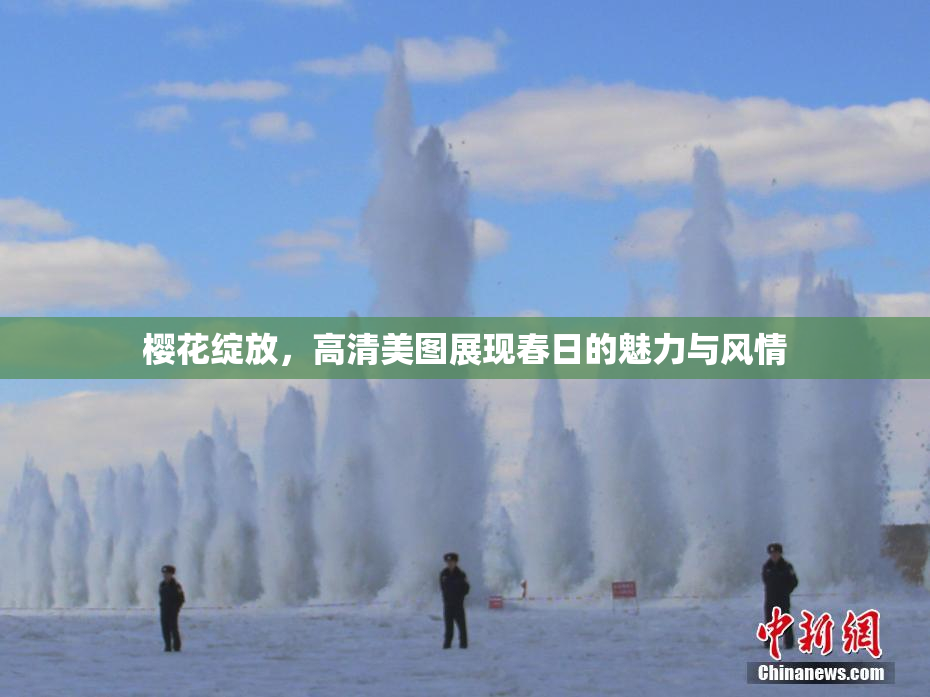 樱花绽放，高清美图展现春日的魅力与风情