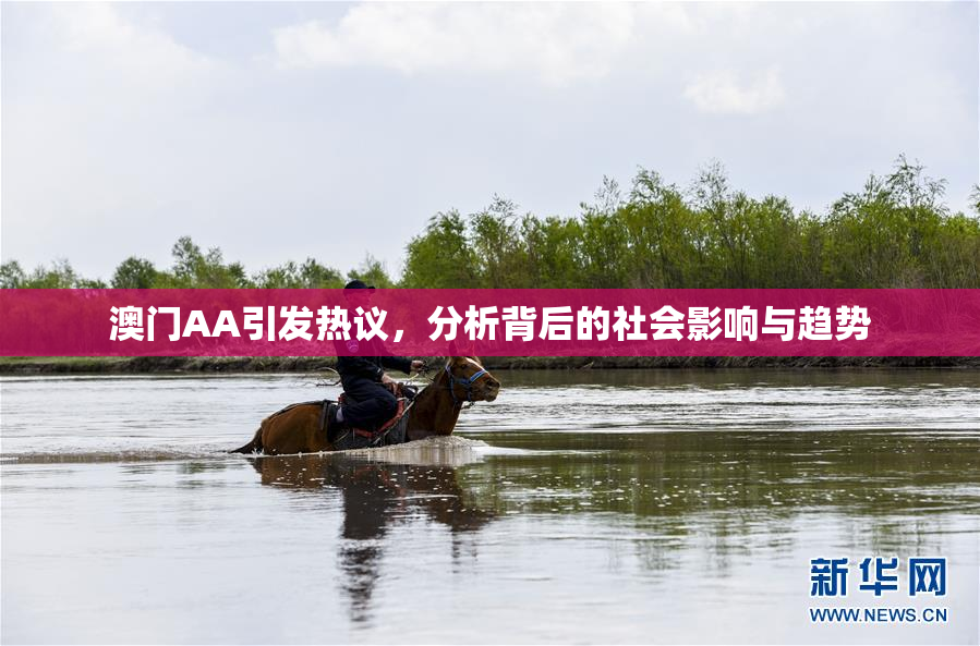 澳门AA引发热议，分析背后的社会影响与趋势