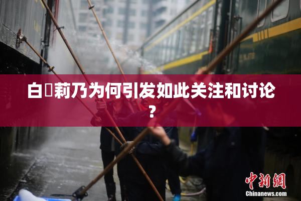 白咲莉乃为何引发如此关注和讨论？