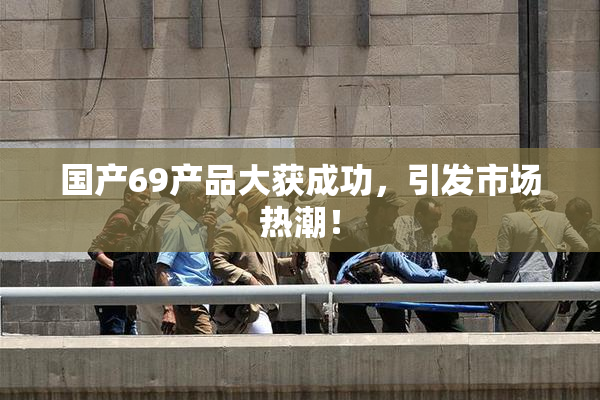 国产69产品大获成功，引发市场热潮！