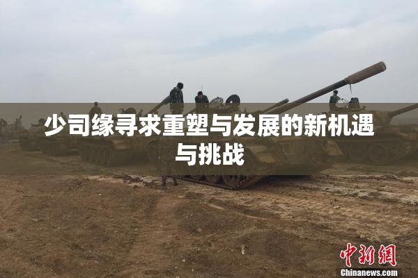 少司缘寻求重塑与发展的新机遇与挑战