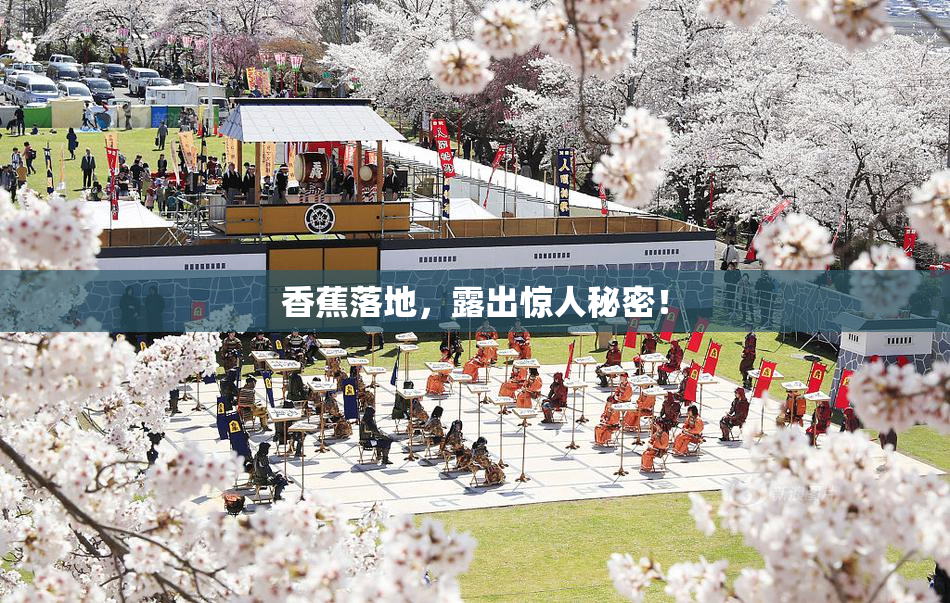 香蕉落地，露出惊人秘密！