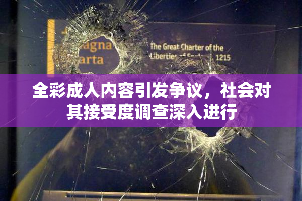 全彩成人内容引发争议，社会对其接受度调查深入进行