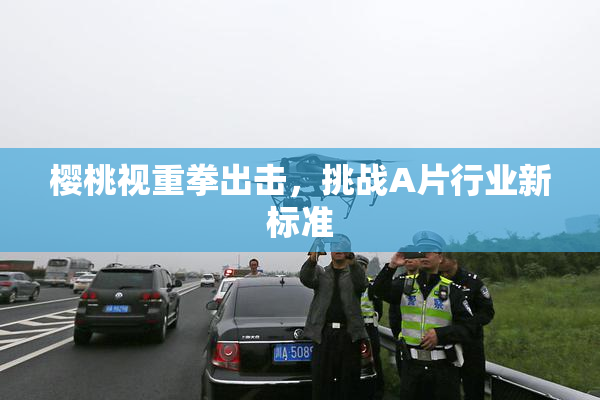 樱桃视重拳出击，挑战A片行业新标准