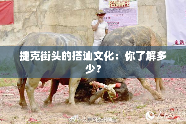 捷克街头的搭讪文化：你了解多少？