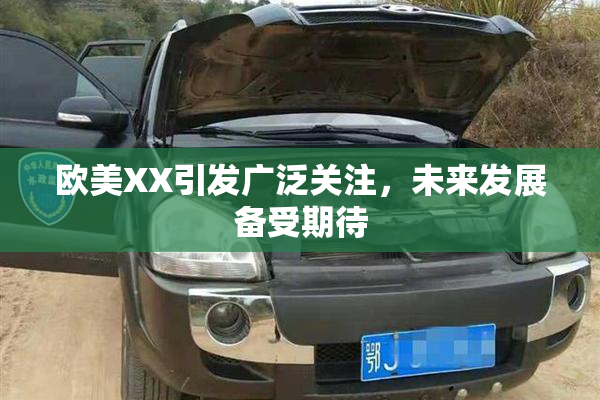 欧美XX引发广泛关注，未来发展备受期待