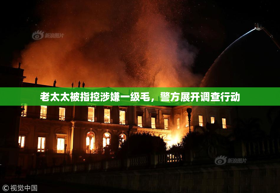 老太太被指控涉嫌一级毛，警方展开调查行动