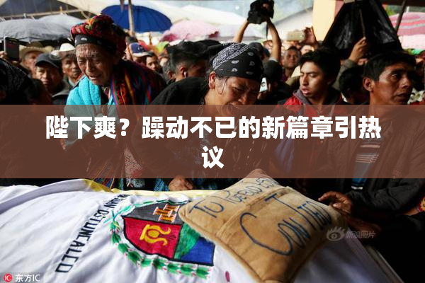 陛下爽？躁动不已的新篇章引热议