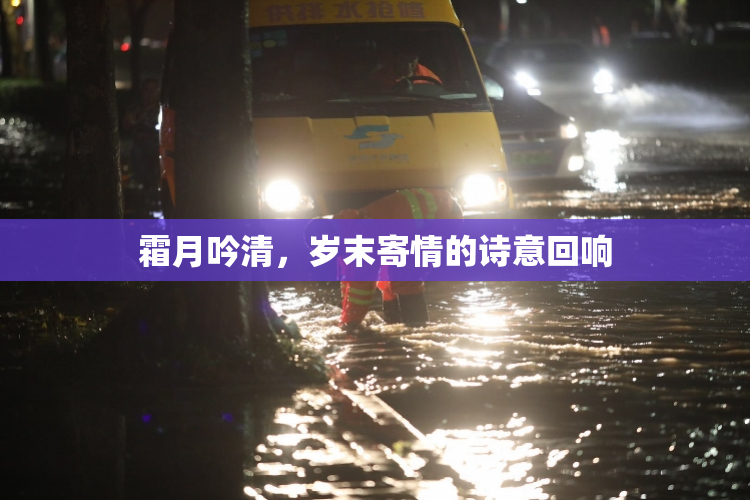 霜月吟清，岁末寄情的诗意回响