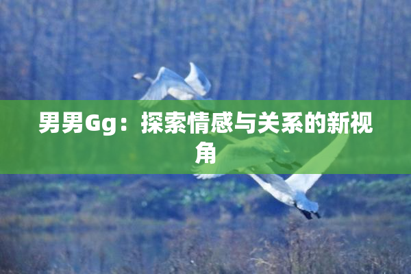 男男Gg：探索情感与关系的新视角