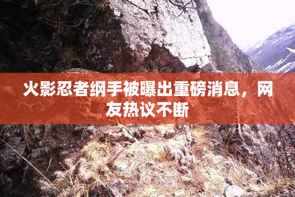 火影忍者纲手被曝出重磅消息，网友热议不断