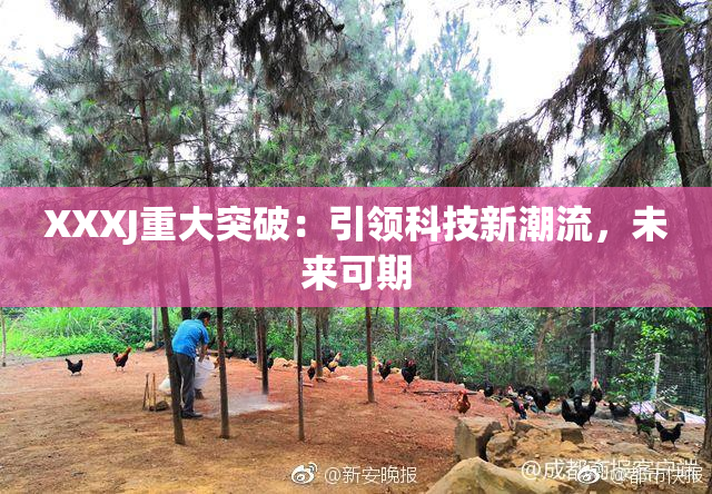 XXXJ重大突破：引领科技新潮流，未来可期