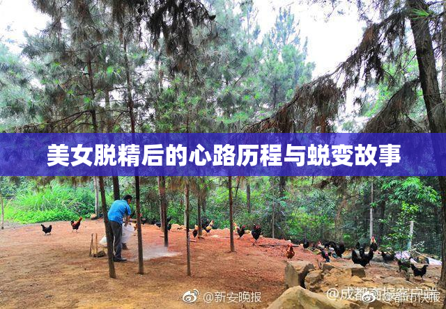 美女脱精后的心路历程与蜕变故事