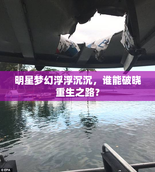 明星梦幻浮浮沉沉，谁能破晓重生之路？