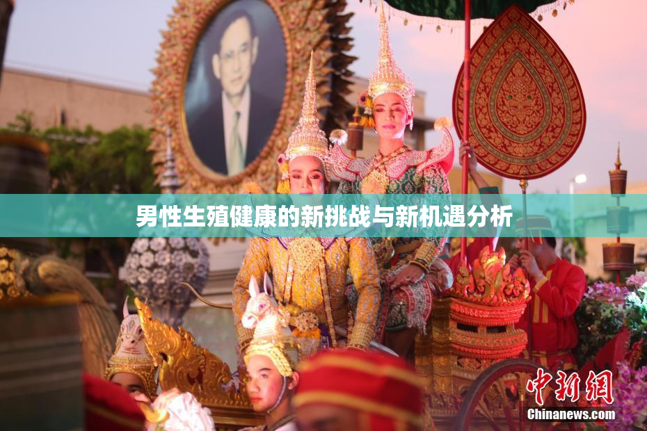 男性生殖健康的新挑战与新机遇分析