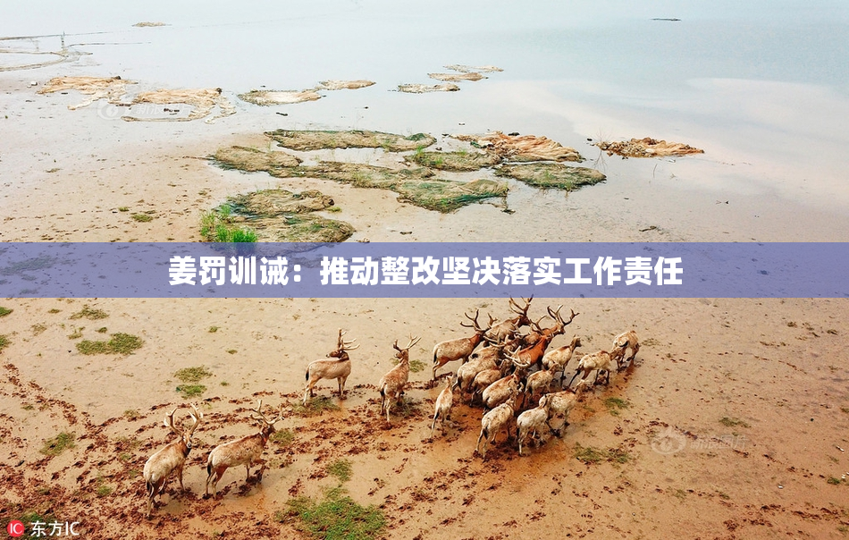 姜罚训诫：推动整改坚决落实工作责任