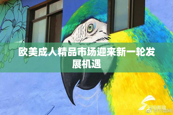 欧美成人精品市场迎来新一轮发展机遇