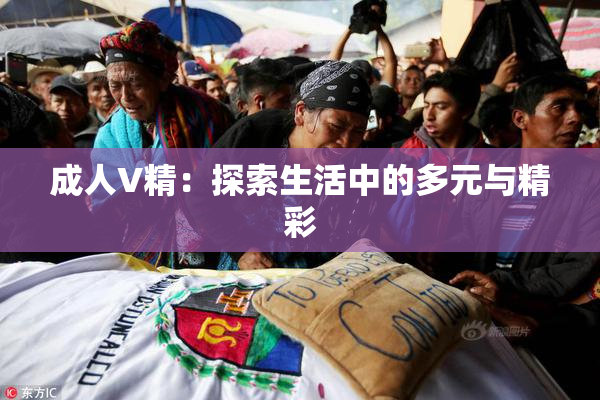 成人V精：探索生活中的多元与精彩