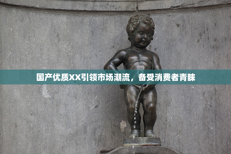 国产优质XX引领市场潮流，备受消费者青睐