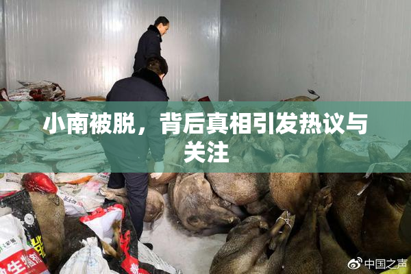 小南被脱，背后真相引发热议与关注