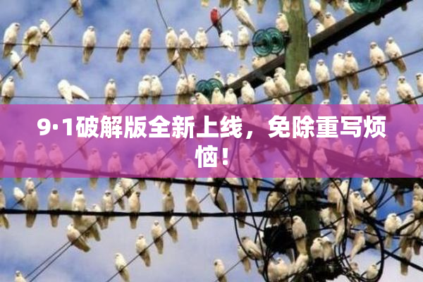 9·1破解版全新上线，免除重写烦恼！