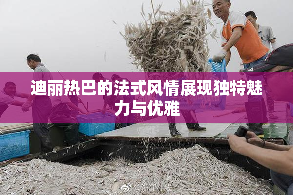 迪丽热巴的法式风情展现独特魅力与优雅