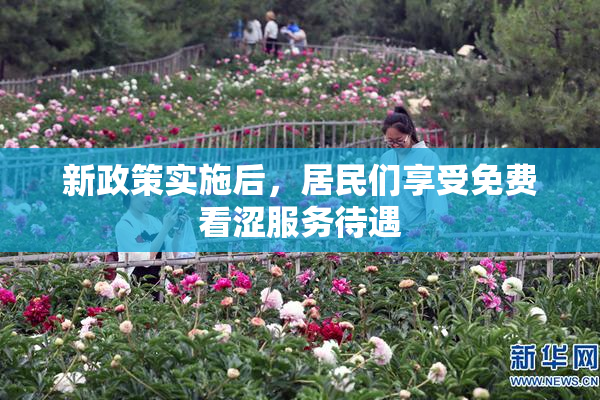 新政策实施后，居民们享受免费看涩服务待遇