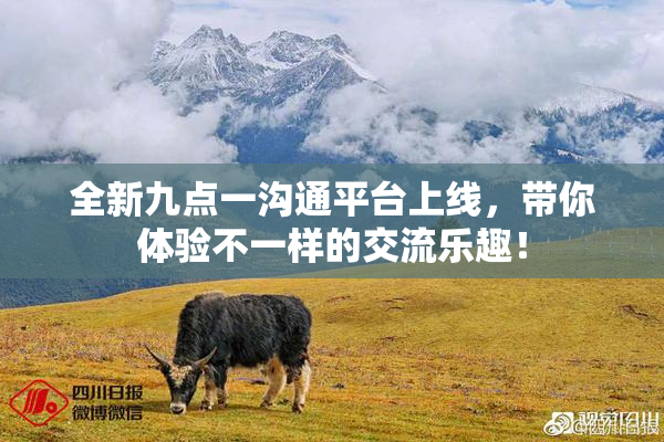 全新九点一沟通平台上线，带你体验不一样的交流乐趣！