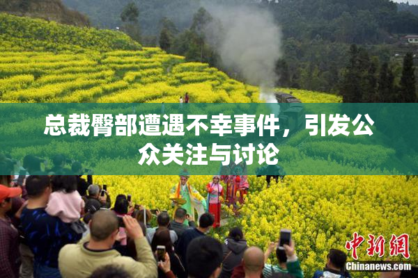 总裁臀部遭遇不幸事件，引发公众关注与讨论