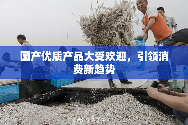 国产优质产品大受欢迎，引领消费新趋势