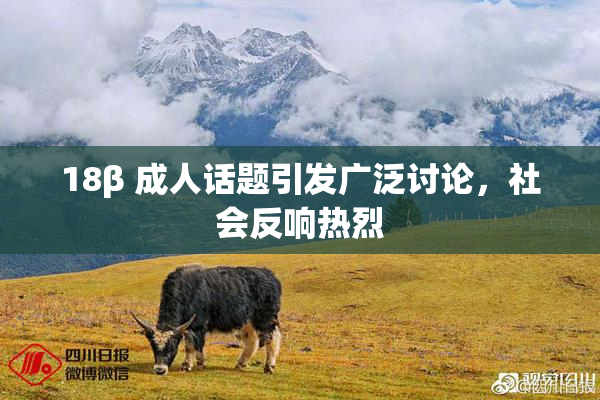 18β 成人话题引发广泛讨论，社会反响热烈