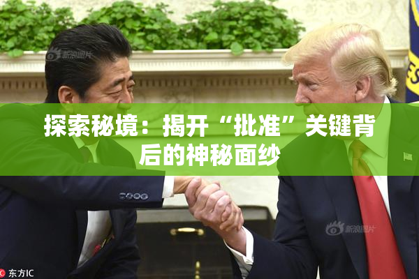 探索秘境：揭开“批准”关键背后的神秘面纱