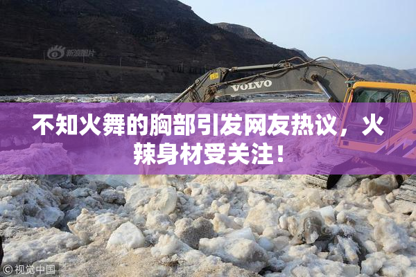 不知火舞的胸部引发网友热议，火辣身材受关注！
