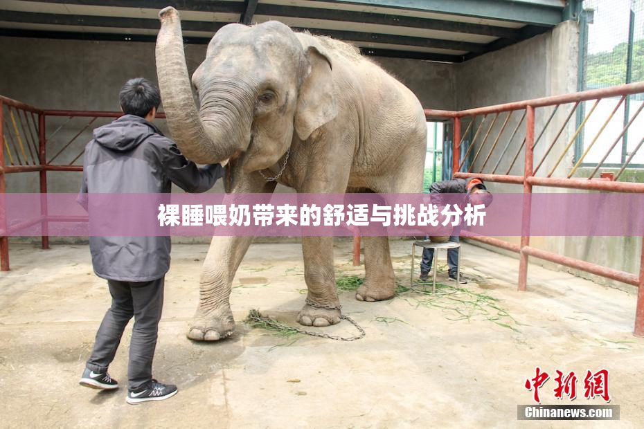 裸睡喂奶带来的舒适与挑战分析