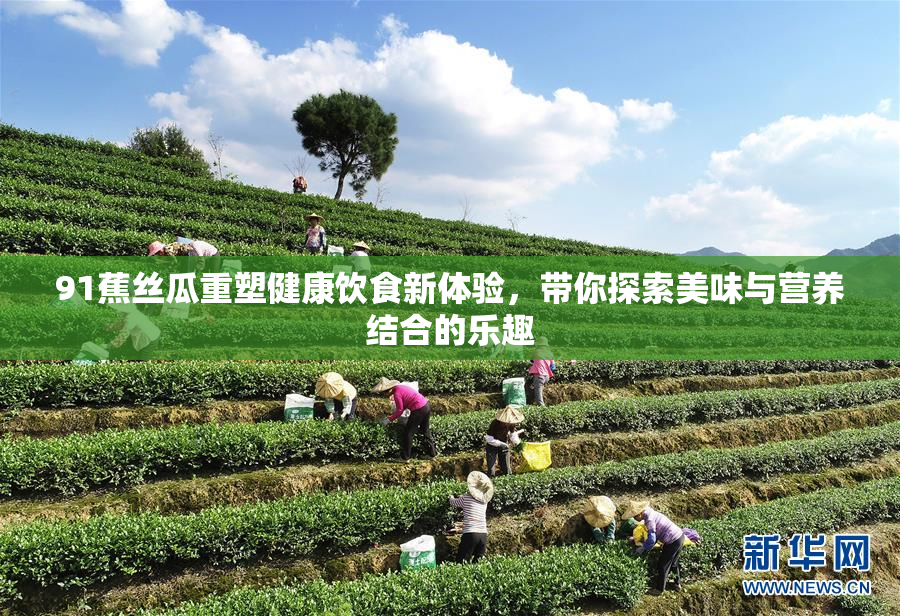 91蕉丝瓜重塑健康饮食新体验，带你探索美味与营养结合的乐趣