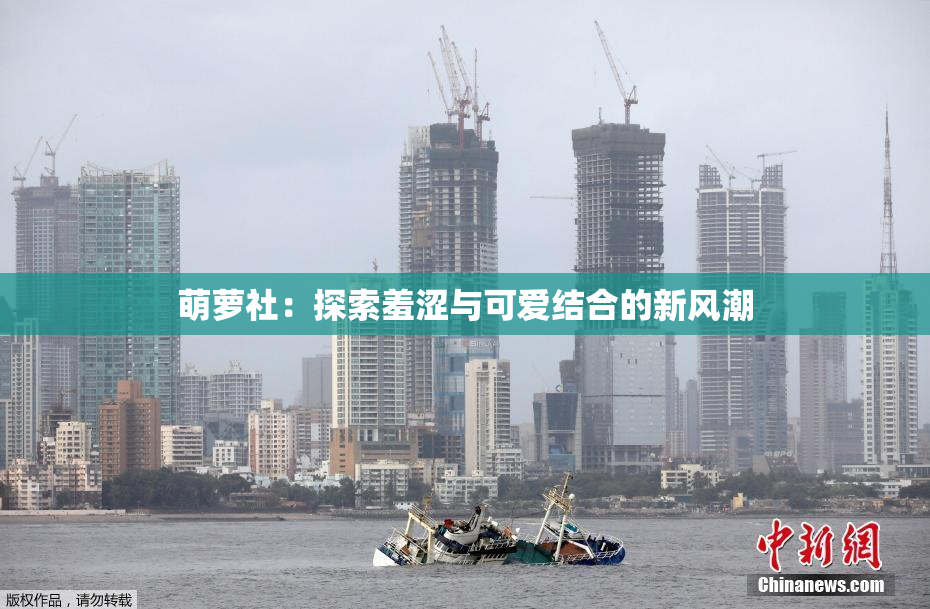 萌萝社：探索羞涩与可爱结合的新风潮