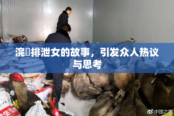 浣腸排泄女的故事，引发众人热议与思考