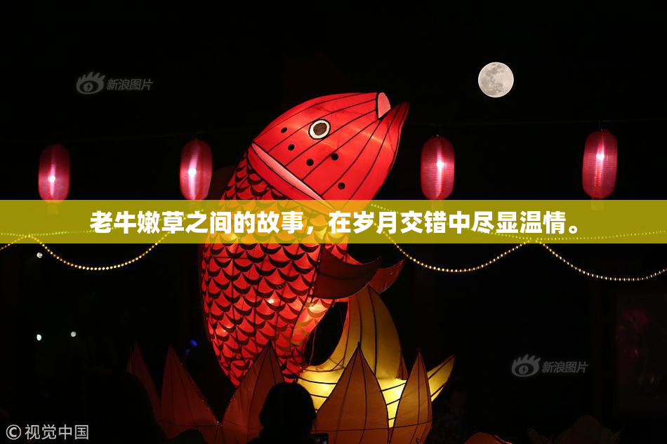 老牛嫩草之间的故事，在岁月交错中尽显温情。