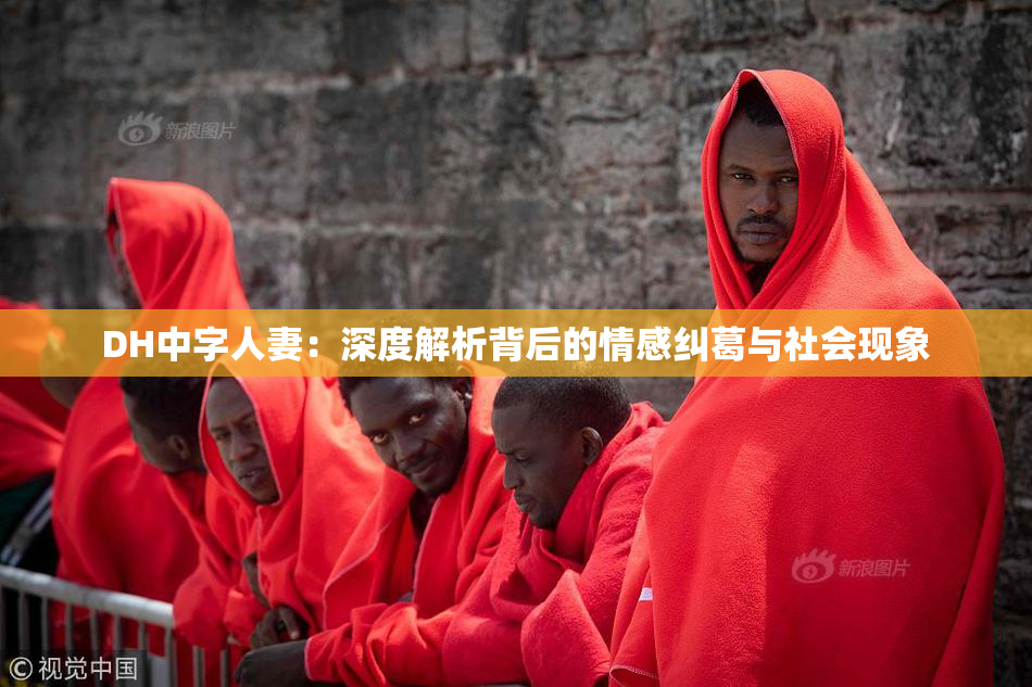DH中字人妻：深度解析背后的情感纠葛与社会现象