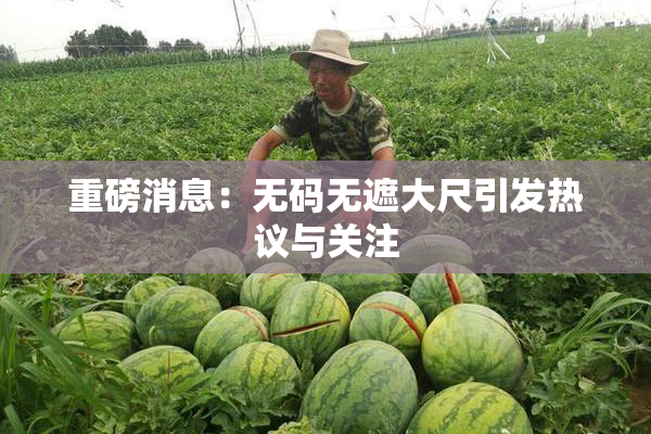 重磅消息：无码无遮大尺引发热议与关注