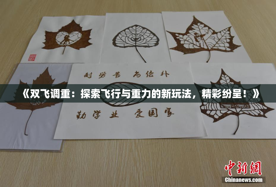《双飞调重：探索飞行与重力的新玩法，精彩纷呈！》