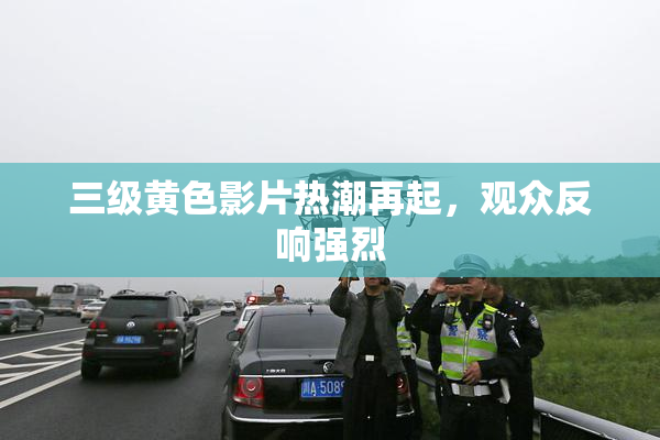 三级黄色影片热潮再起，观众反响强烈