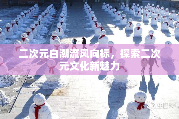 二次元白潮流风向标，探索二次元文化新魅力