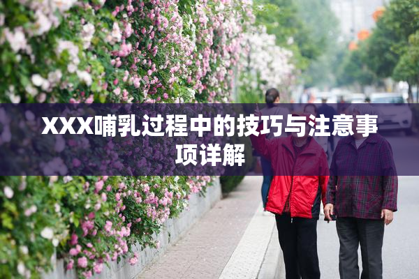 XXX哺乳过程中的技巧与注意事项详解
