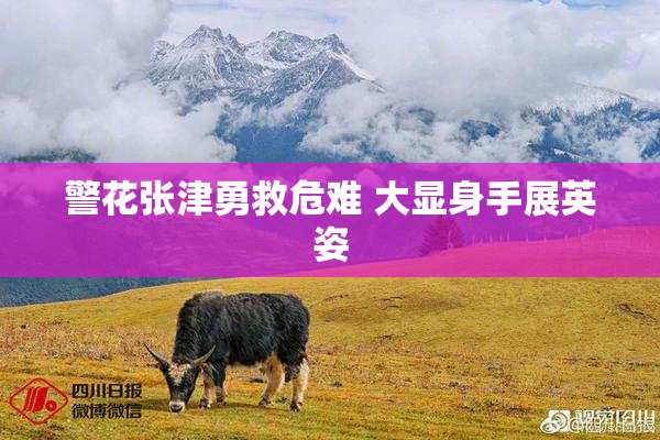 警花张津勇救危难 大显身手展英姿
