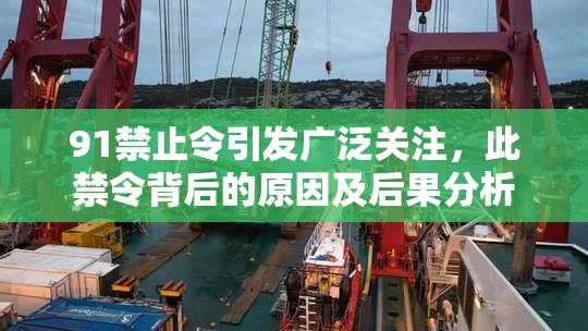 91禁止令引发广泛关注，此禁令背后的原因及后果分析