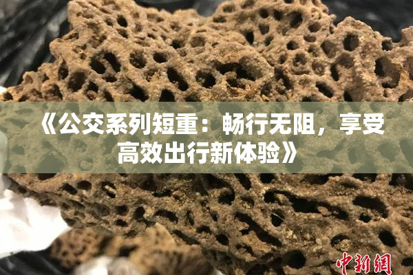 《公交系列短重：畅行无阻，享受高效出行新体验》