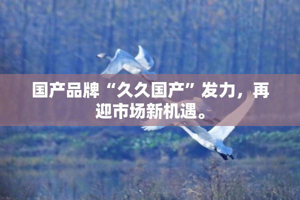 国产品牌“久久国产”发力，再迎市场新机遇。